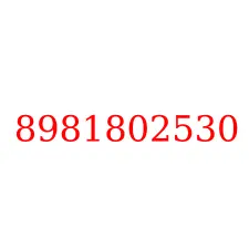 8981802530