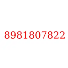8981807822