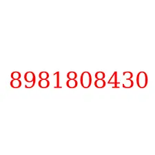 8981808430