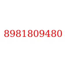 8981809480