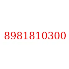 8981810300