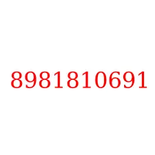 8981810691