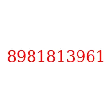8981813961