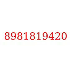 8981819420