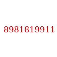 8981819911
