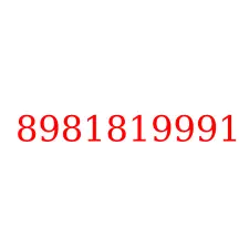 8981819991