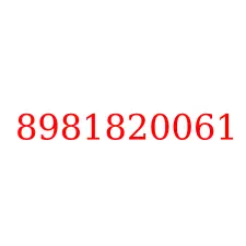 8981820061