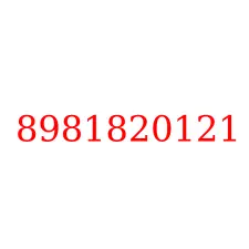 8981820121