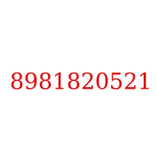 8981820521