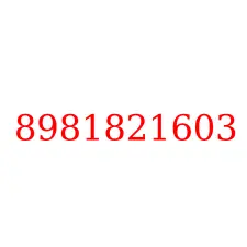 8981821603