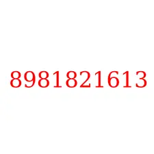 8981821613