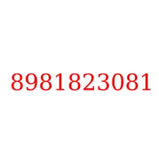 8981823081