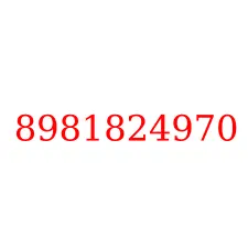 8981824970