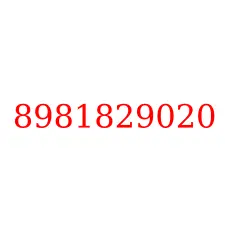 8981829020