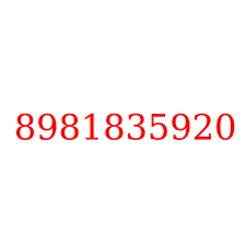 8981835920