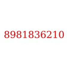 8981836210
