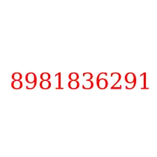 8981836291