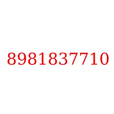8981837710
