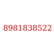 8981838522