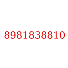 8981838810