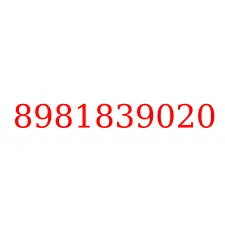 8981839020