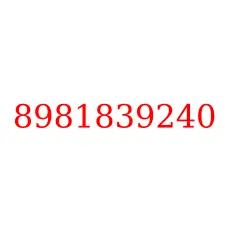 8981839240