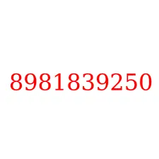8981839250