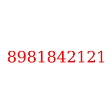 8981842121