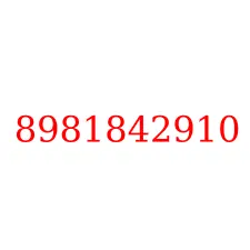 8981842910