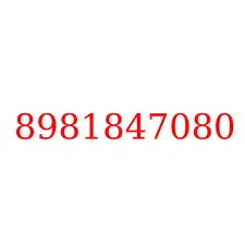 8981847080