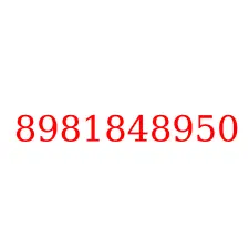 8981848950