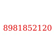 8981852120