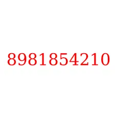 8981854210