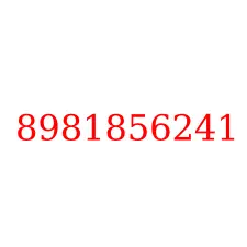 8981856241