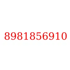 8981856910