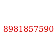 8981857590