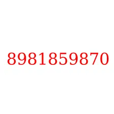 8981859870