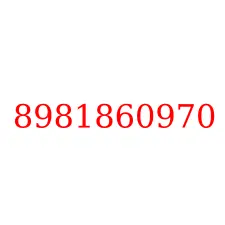 8981860970