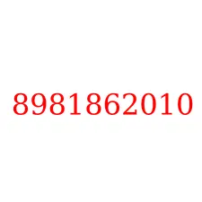 8981862010