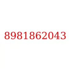8981862043
