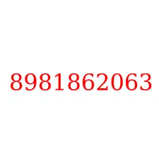8981862063