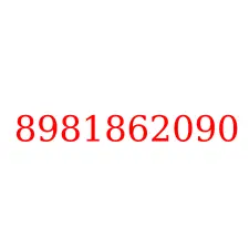 8981862090