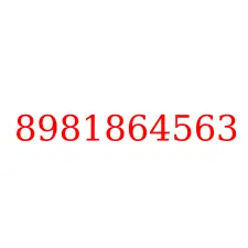 8981864563