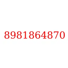 8981864870