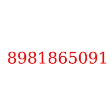 8981865091