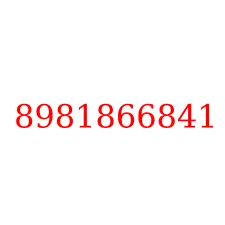 8981866841