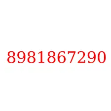 8981867290