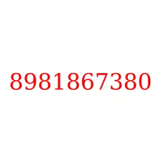 8981867380