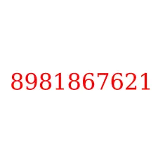 8981867621