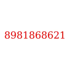 8981868621